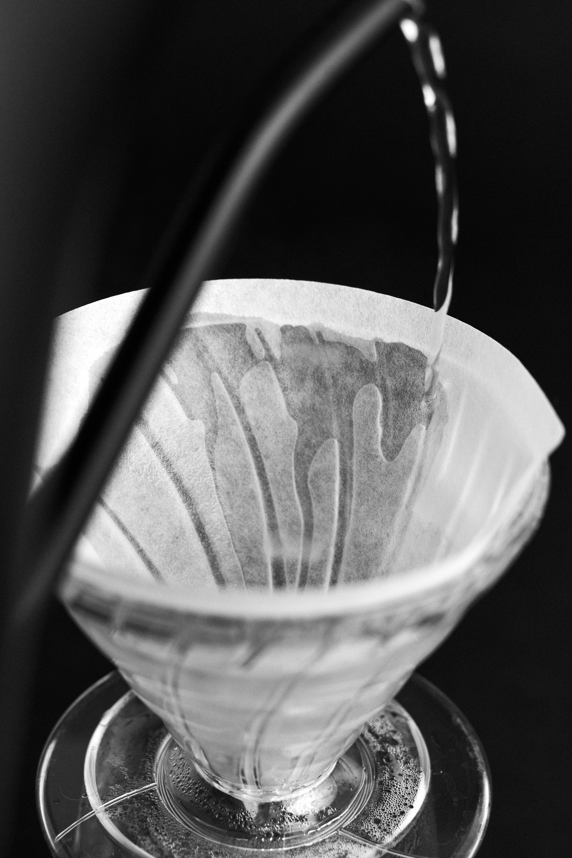 SIBARIST, FAST CONE PAPER